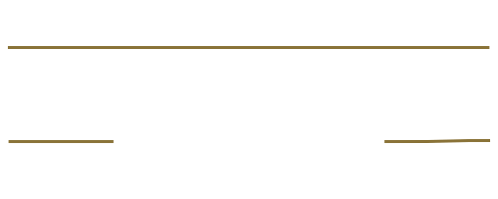 District South logo